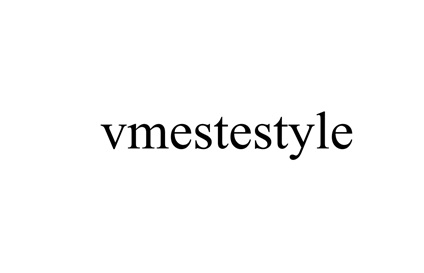 vmestestyle